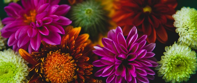 帝王的最后 帝王的最后