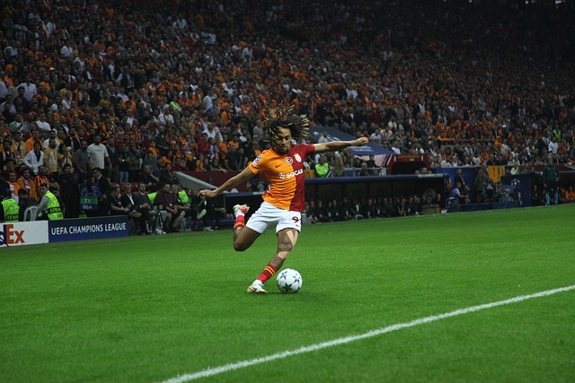 雄鹿队赢得 雄鹿队赢得