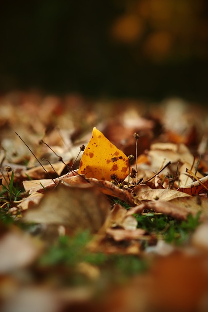 名的焦点之 名的焦点之