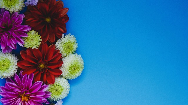 拿下20+两双打出最强之战，后场新星这样的表现都无法拯救太阳？.