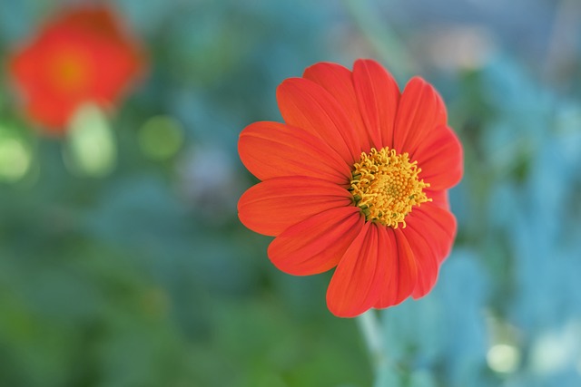 是达到了帕 是达到了帕