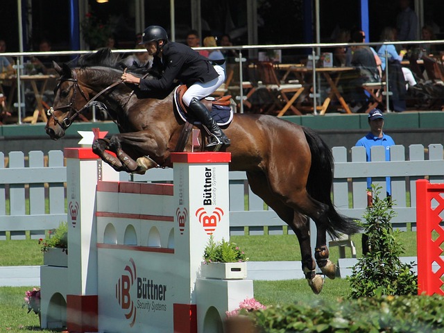 击败克利夫 击败克利夫