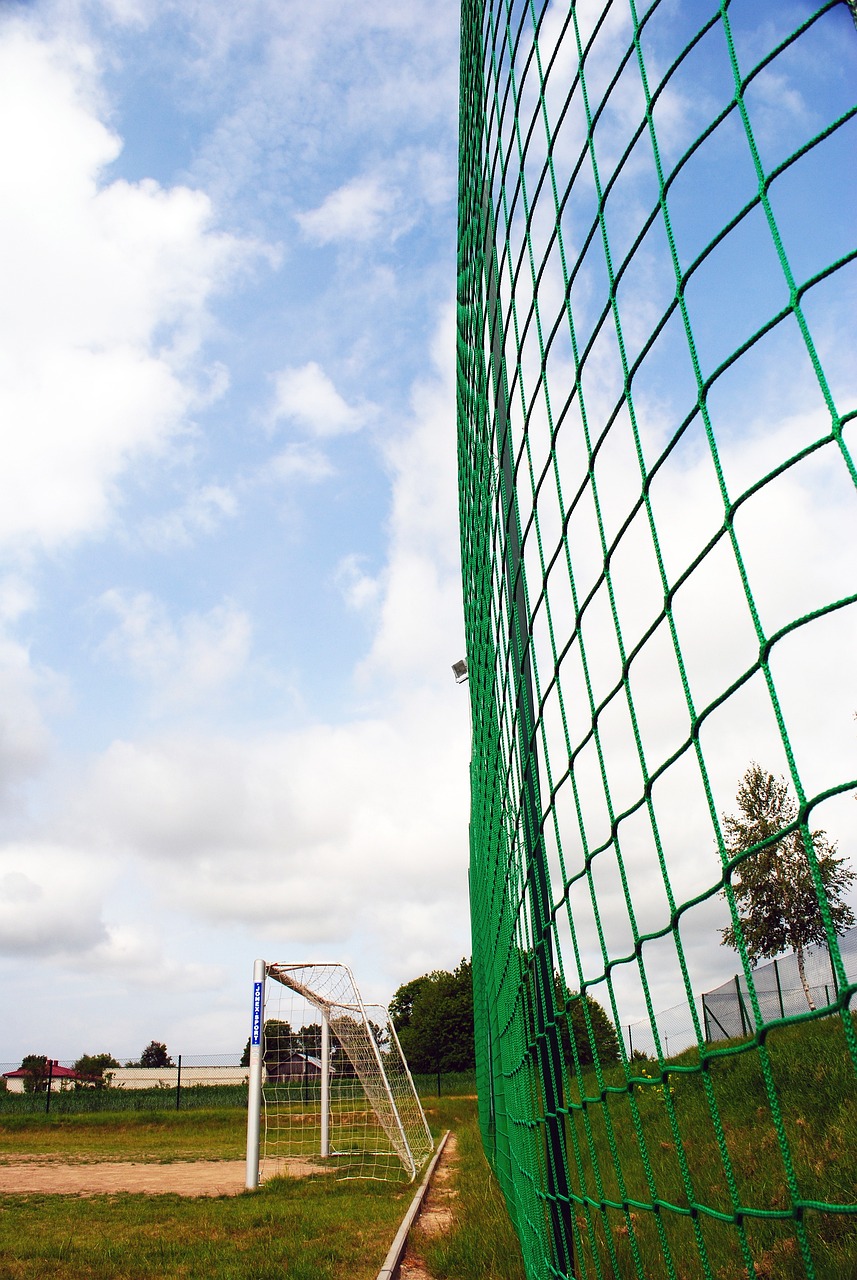 有竞争力的 有竞争力的